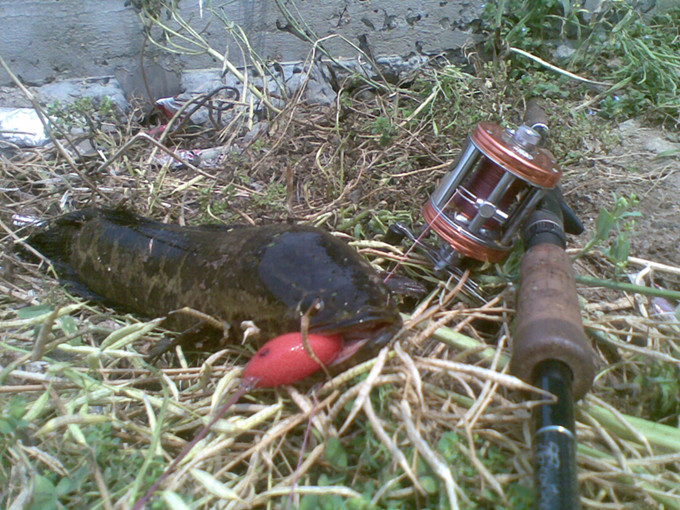 20120512(002)_.jpg