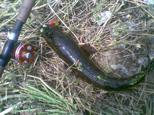 20120512_.jpg