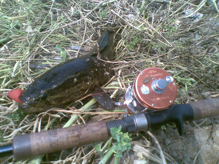 20120512(001)_.jpg