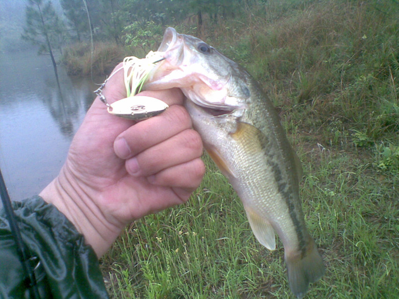 20120513_.jpg