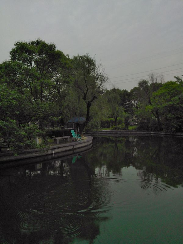 WP_000023.jpg