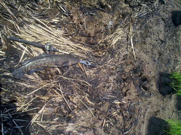 20120518471.jpg