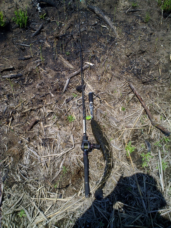 20120518472.jpg