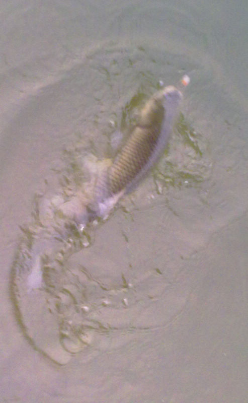 20120328556.jpg