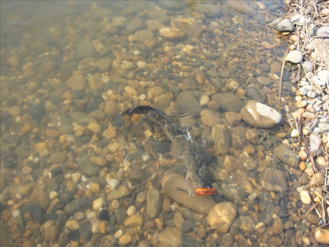 DSC02980.JPG