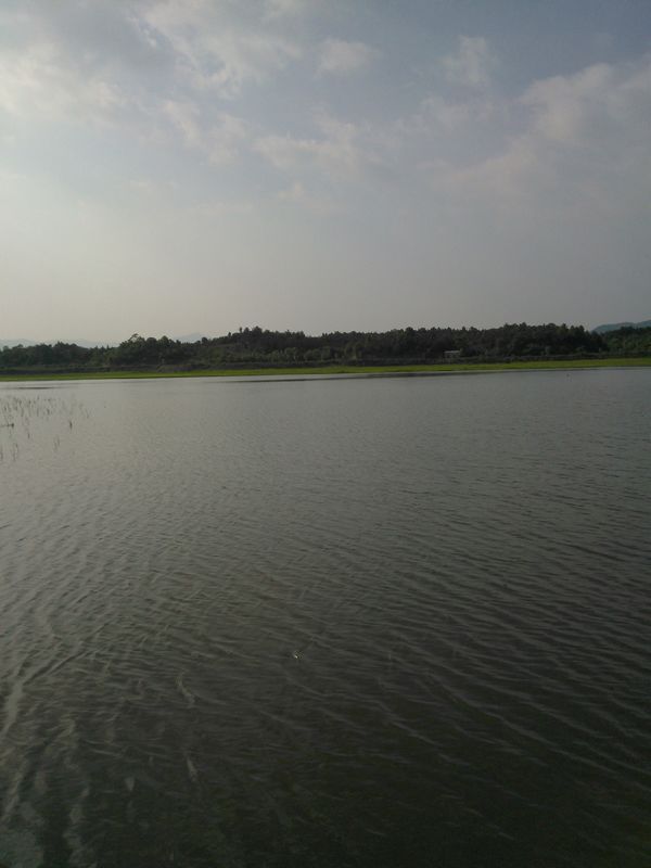 WP_000057.jpg