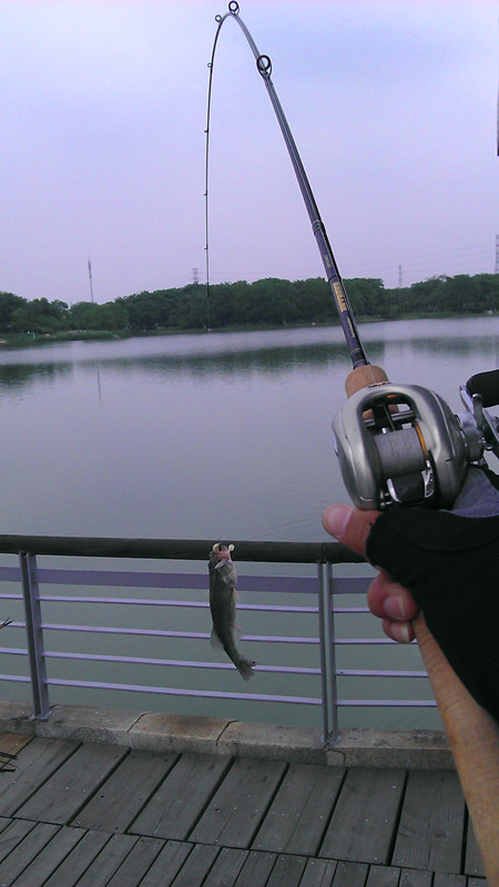 imag0083_.jpg