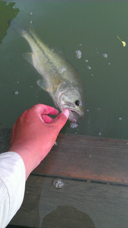 imag0112_.jpg