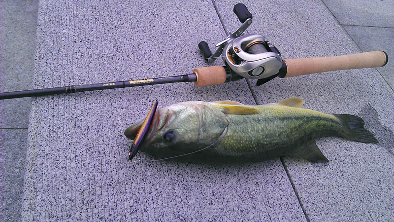 imag0055_.jpg