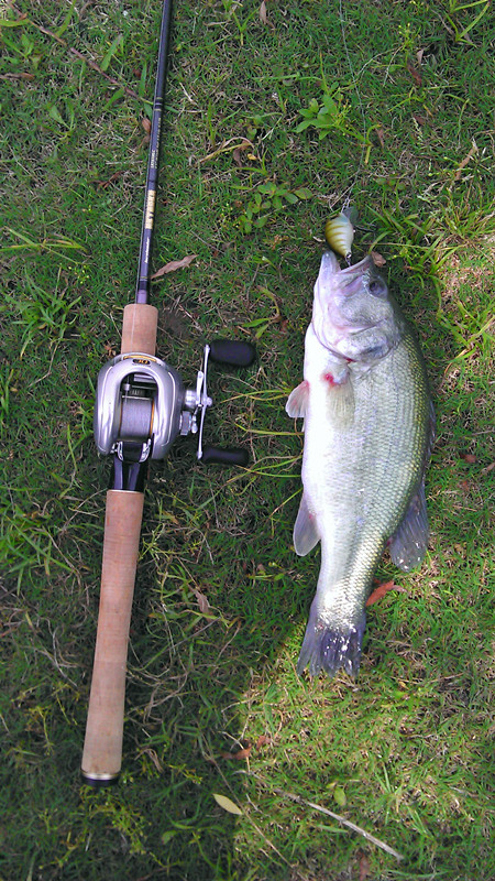 imag0089_.jpg