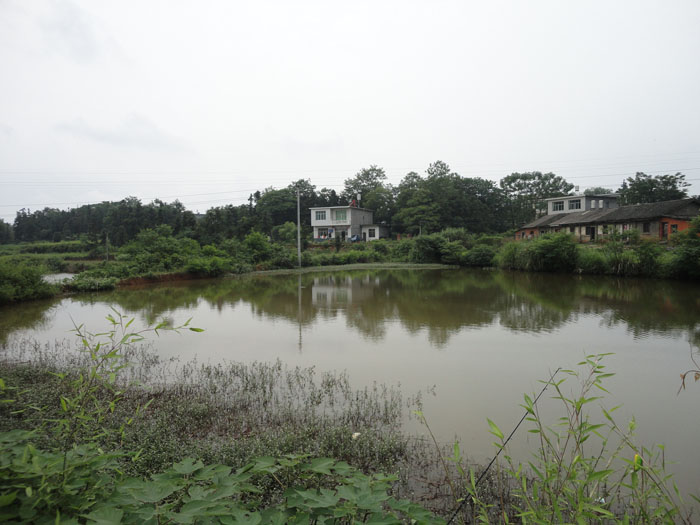 DSC04188.jpg