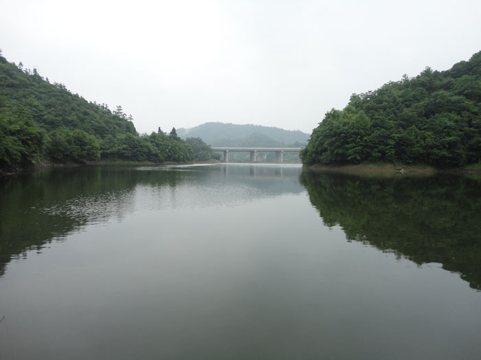 DSC04278.jpg