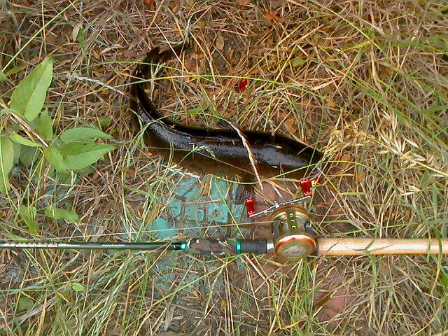 IMG0601105700.jpg