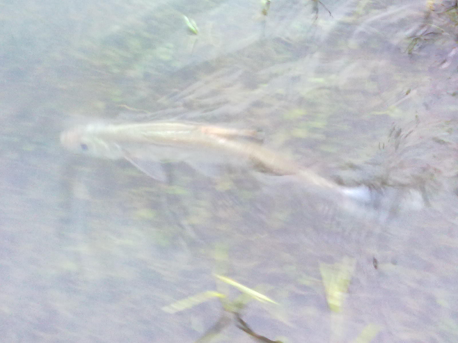 201205291093.jpg