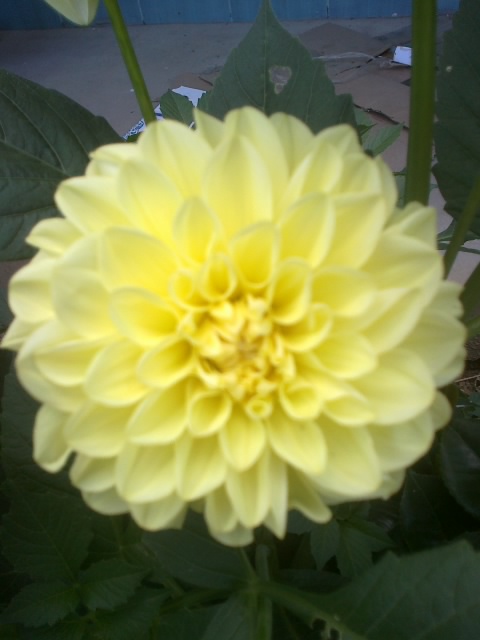 20120602376.jpg