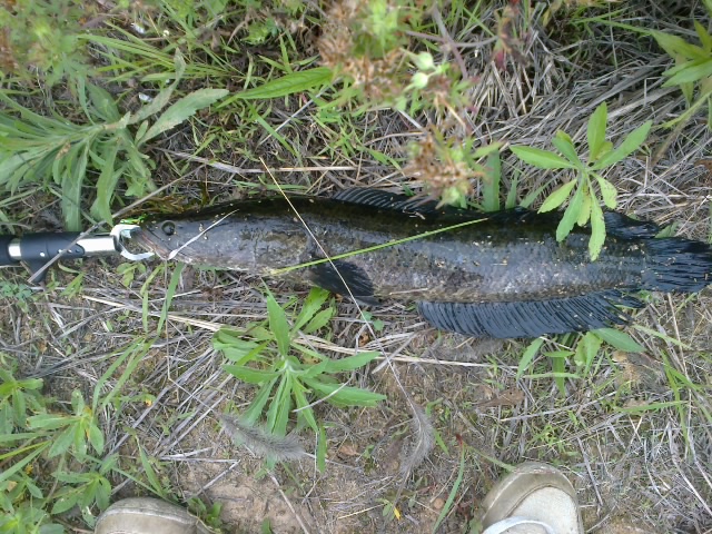 20120605389.jpg