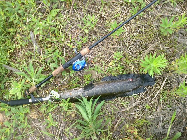20120605393.jpg