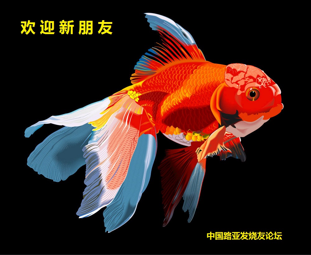 2007112719337843_2_.jpg