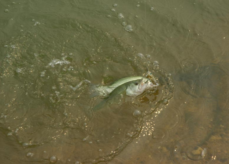 DSC_6587.JPG