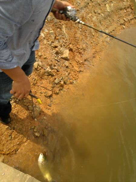 201205301227_СС.jpg