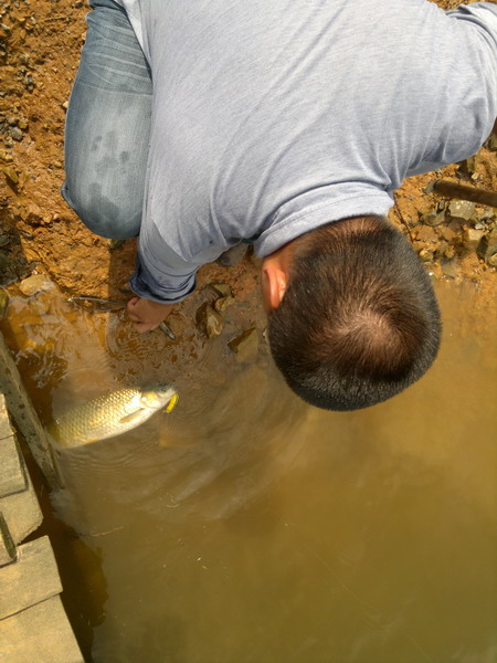 201205301225_СС.jpg