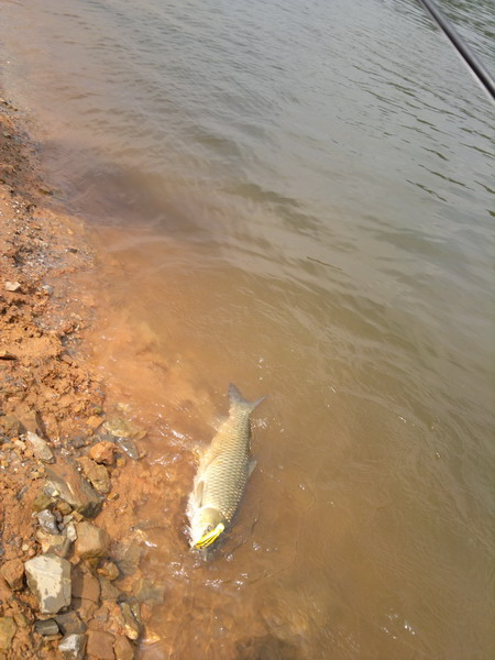 201205301223_СС.jpg