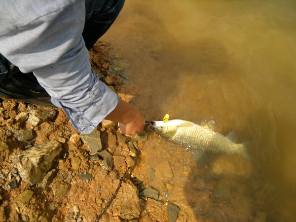 201205301210_СС.jpg