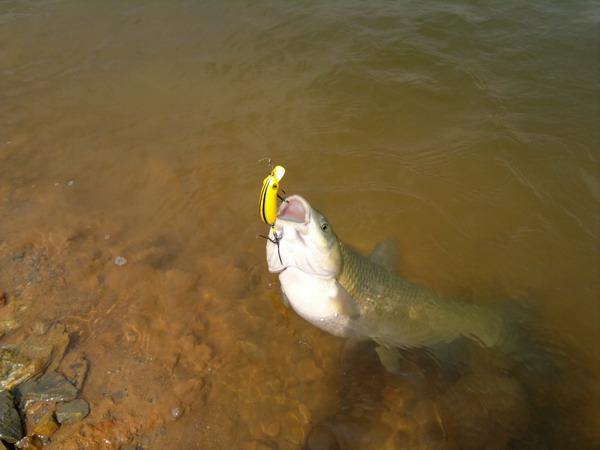 201205301207_СС.jpg