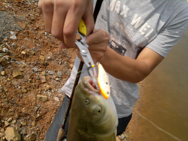 201205301203_СС.jpg