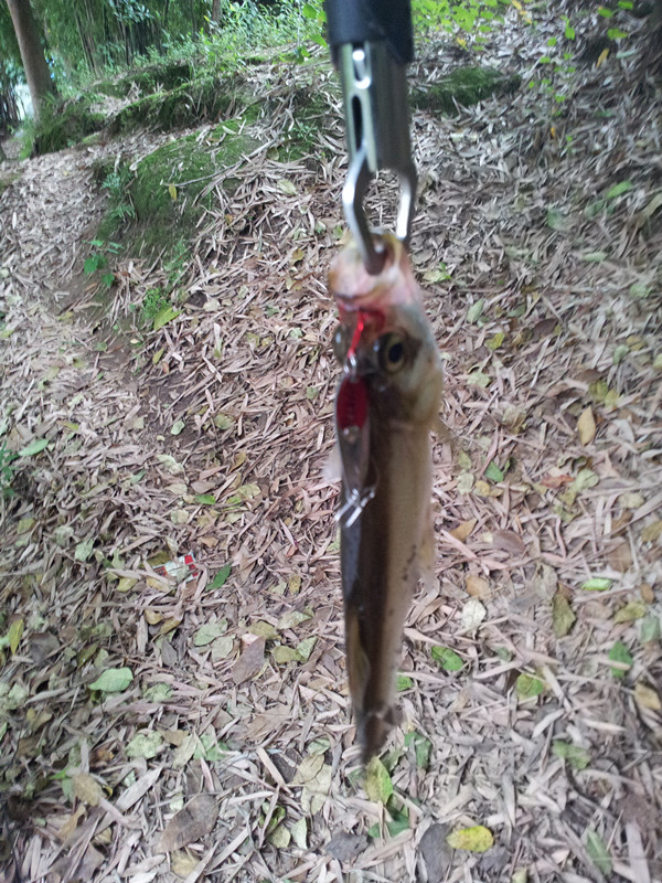 20120617_090434_.jpg