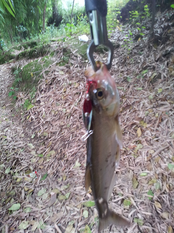 20120617_090438_.jpg