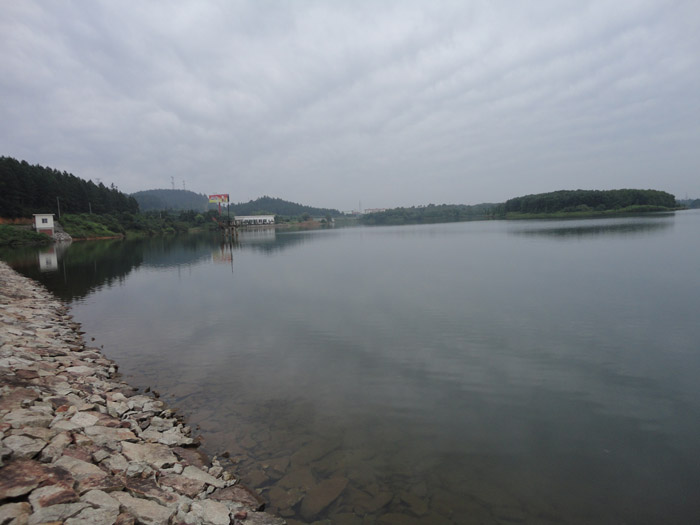 DSC04410.jpg