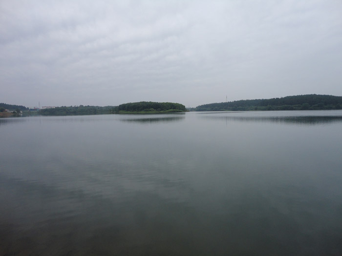 DSC04411.jpg