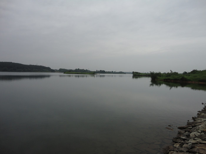 DSC04412.jpg