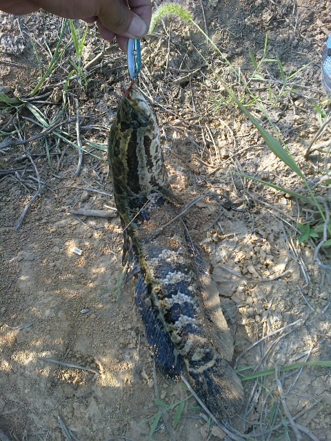 20120620432.jpg