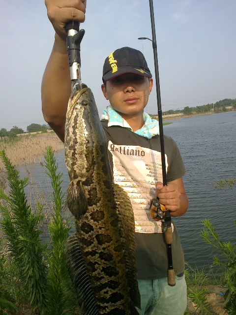 20120620435.jpg