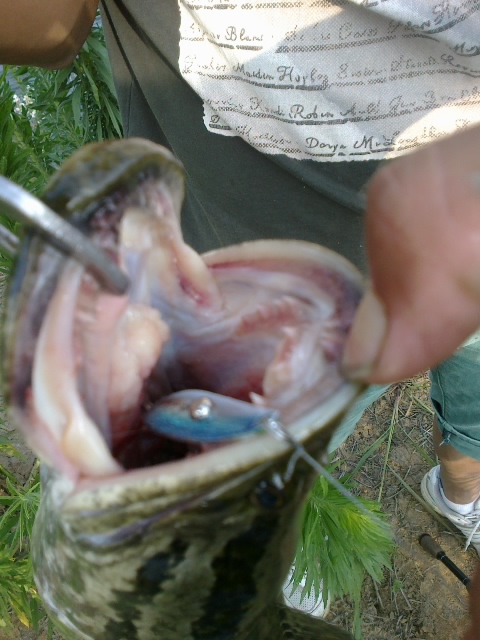 20120620437.jpg