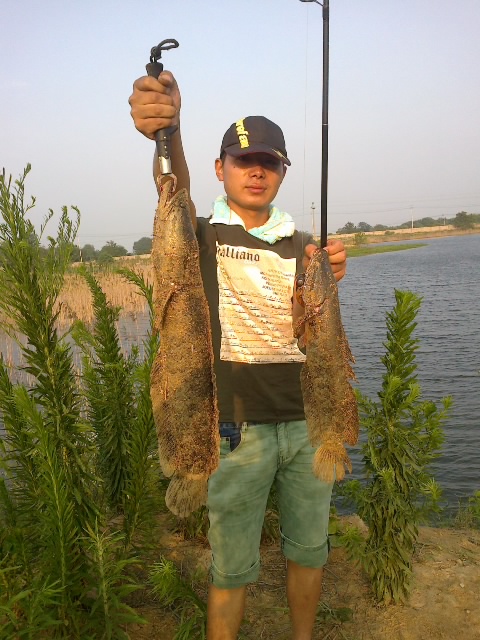 20120620440.jpg