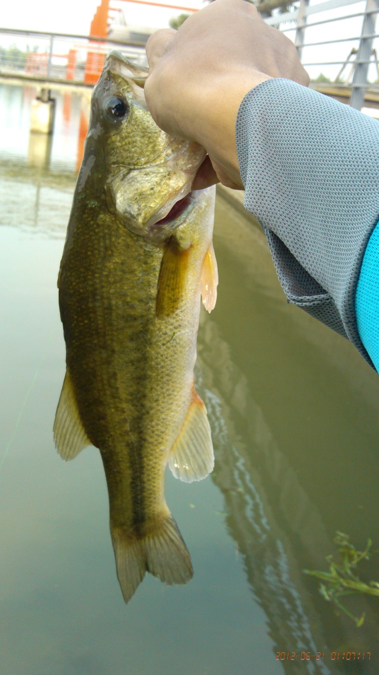 IMG_20120621_010717.jpg