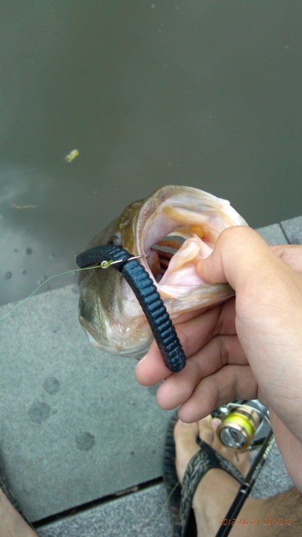 IMG_20120621_094321.jpg