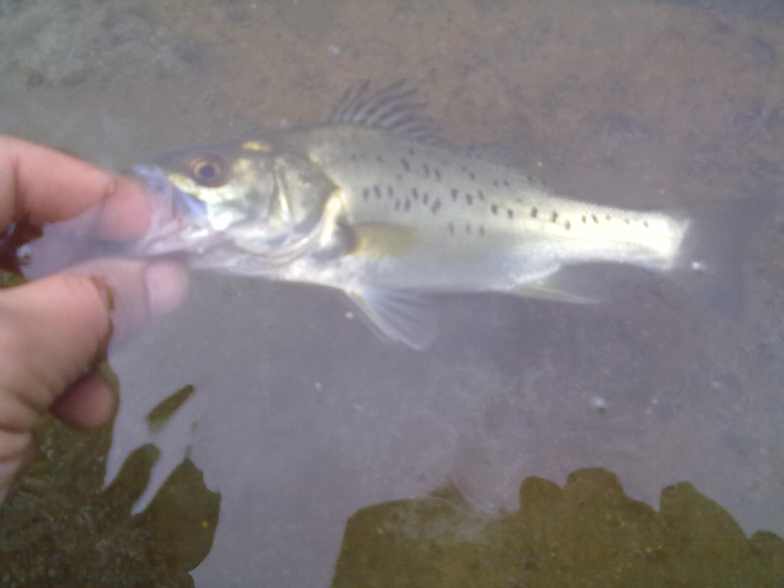 201206241152.jpg