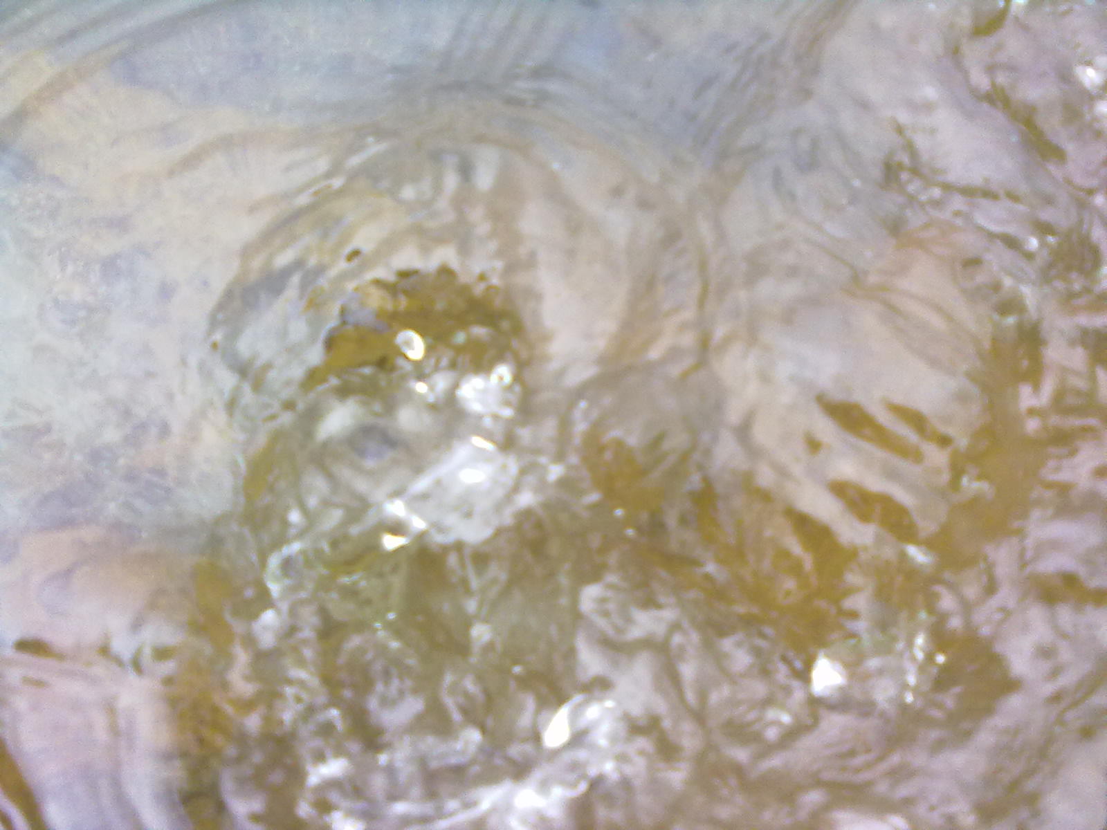 201206241153.jpg