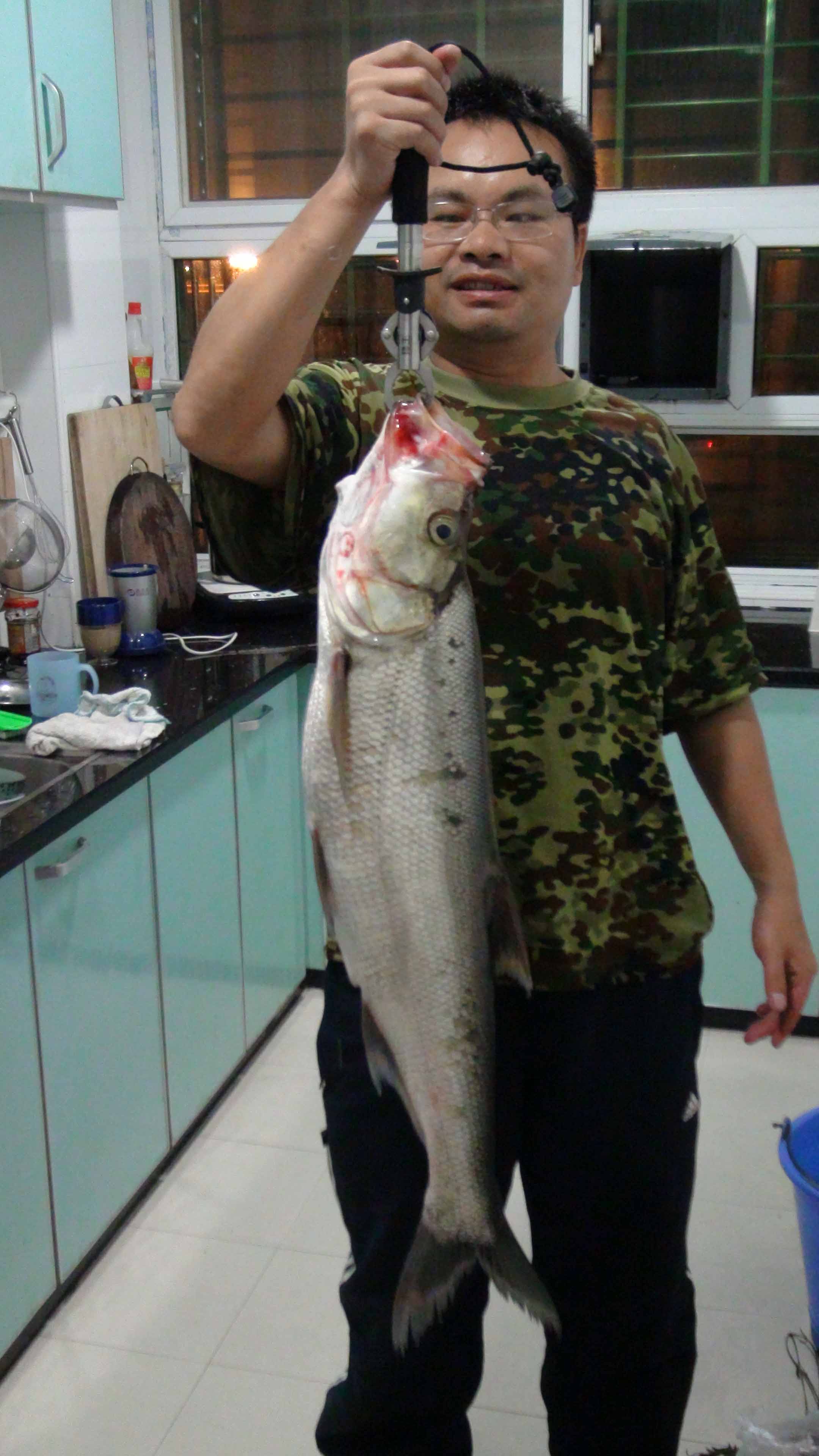 来,称一称 来,称一称