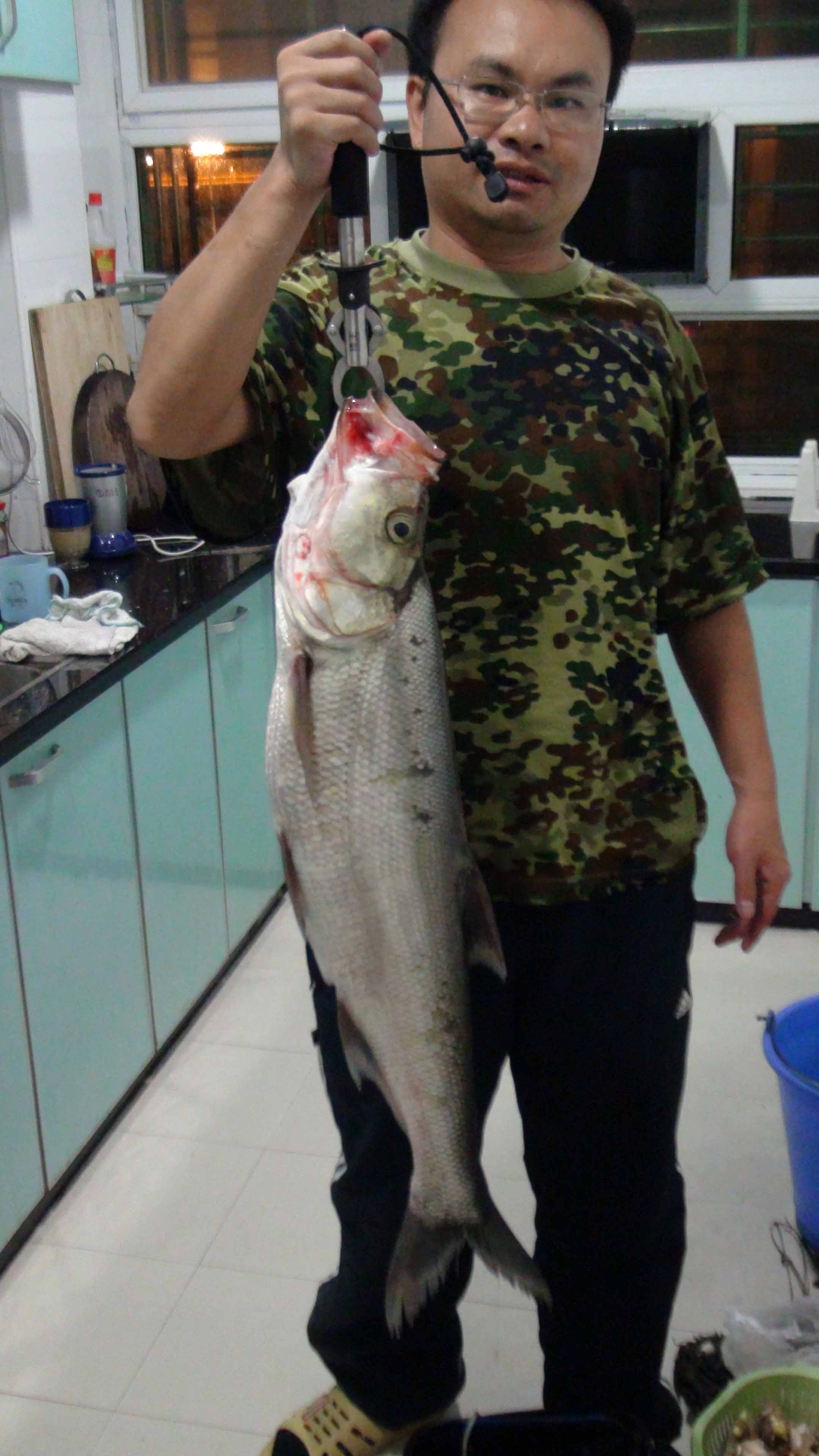 你看看,大姑娘 你看看,大姑娘