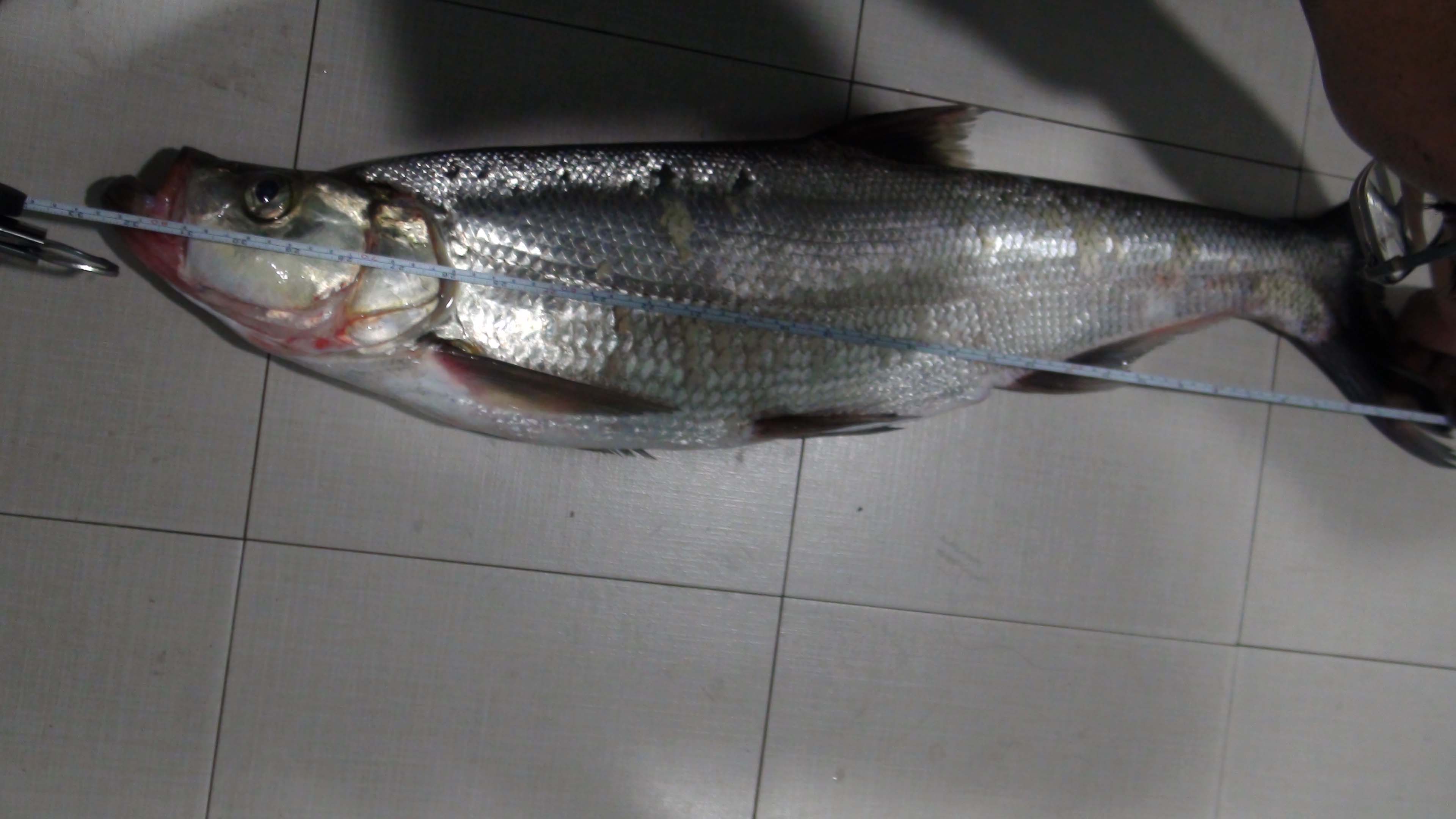 量一量,看多长 量一量,看多长