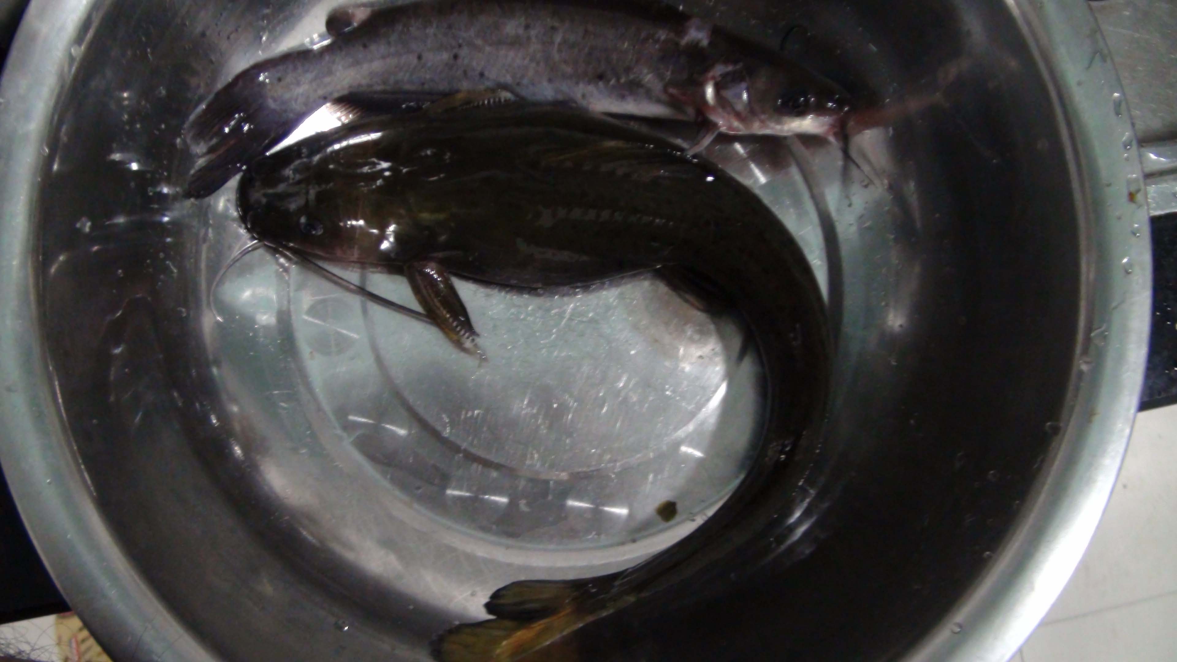 要跟我回家没办法 要跟我回家没办法