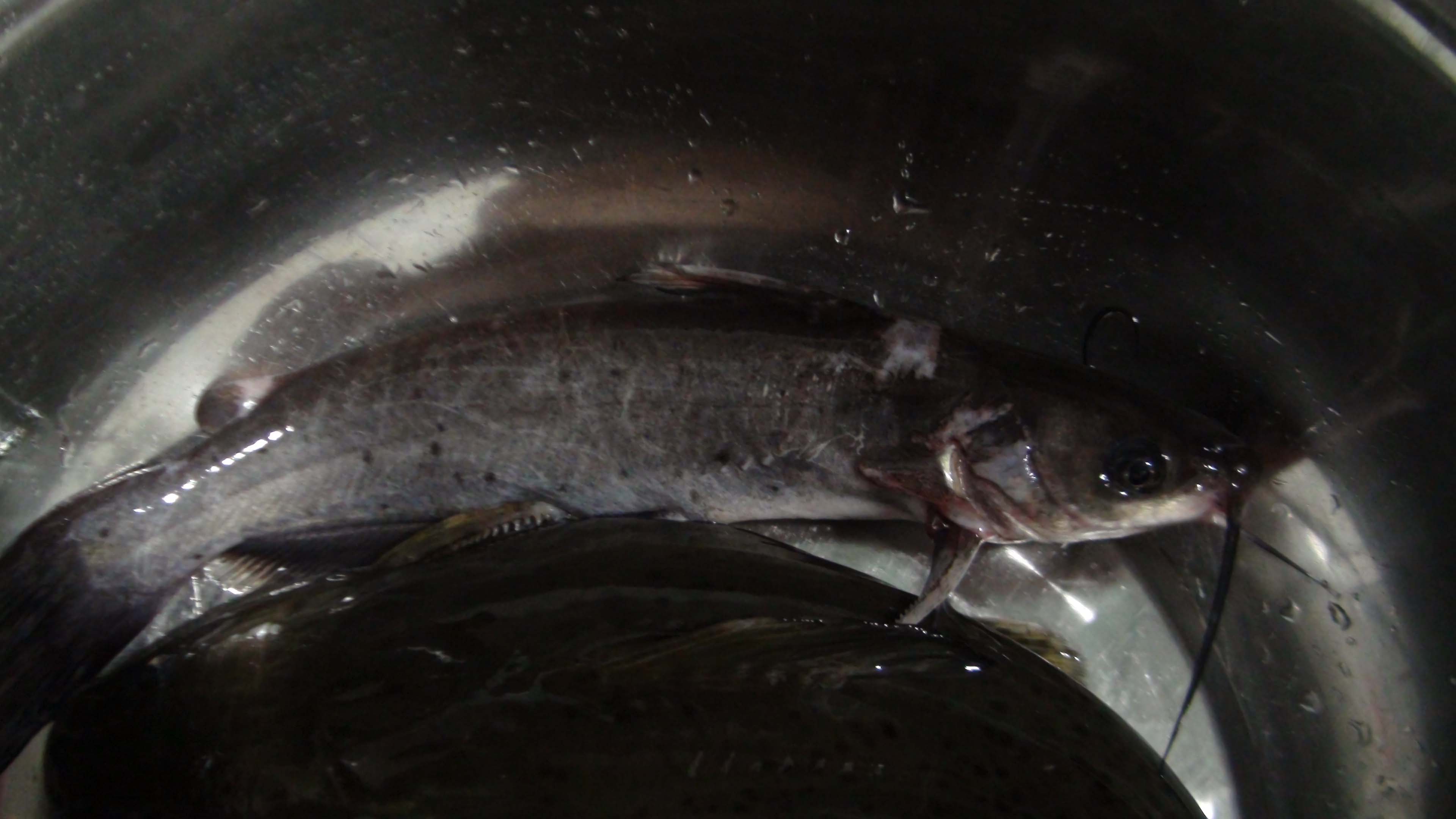 附带产品 附带产品