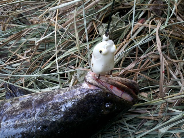 2012-06-22_14-45-23_665.jpg