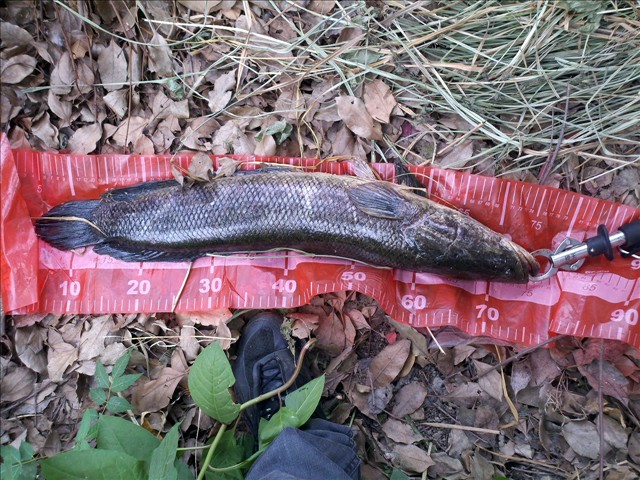 2012-06-22_14-47-56_845.jpg