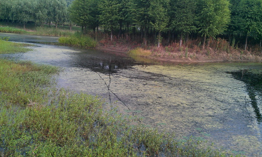 IMAG0476.jpg